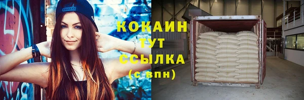 дживик Новозыбков