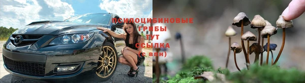 дживик Новозыбков
