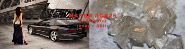 дживик Новозыбков