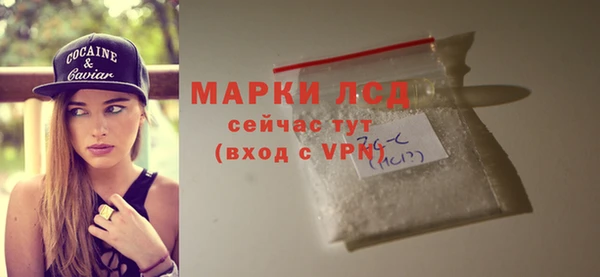 гашик Новокубанск