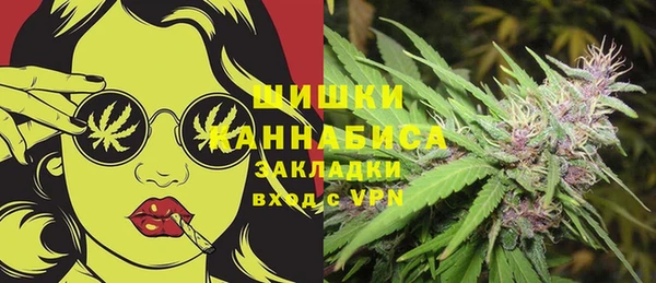 дживик Новозыбков